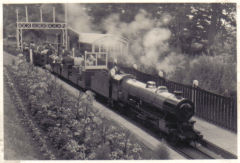
Dudley Zoo Railway, 1954